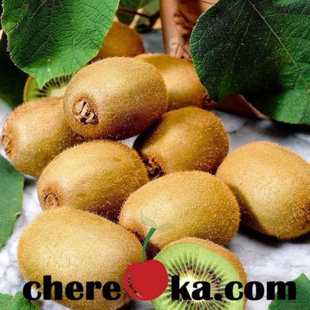 Киви Джени 10€